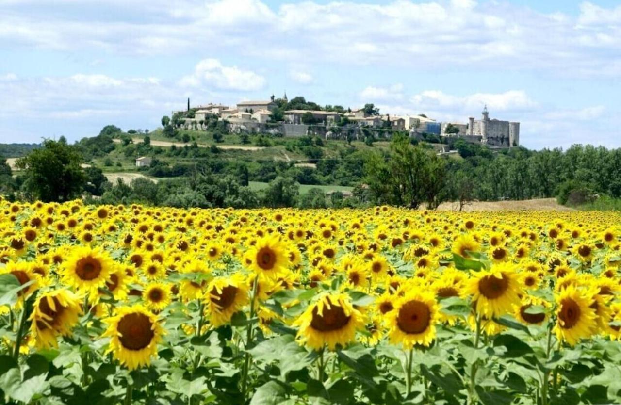 Villa Charmante A Lussan Avec Piscine Privee Et Jardin Closa Luaran gambar